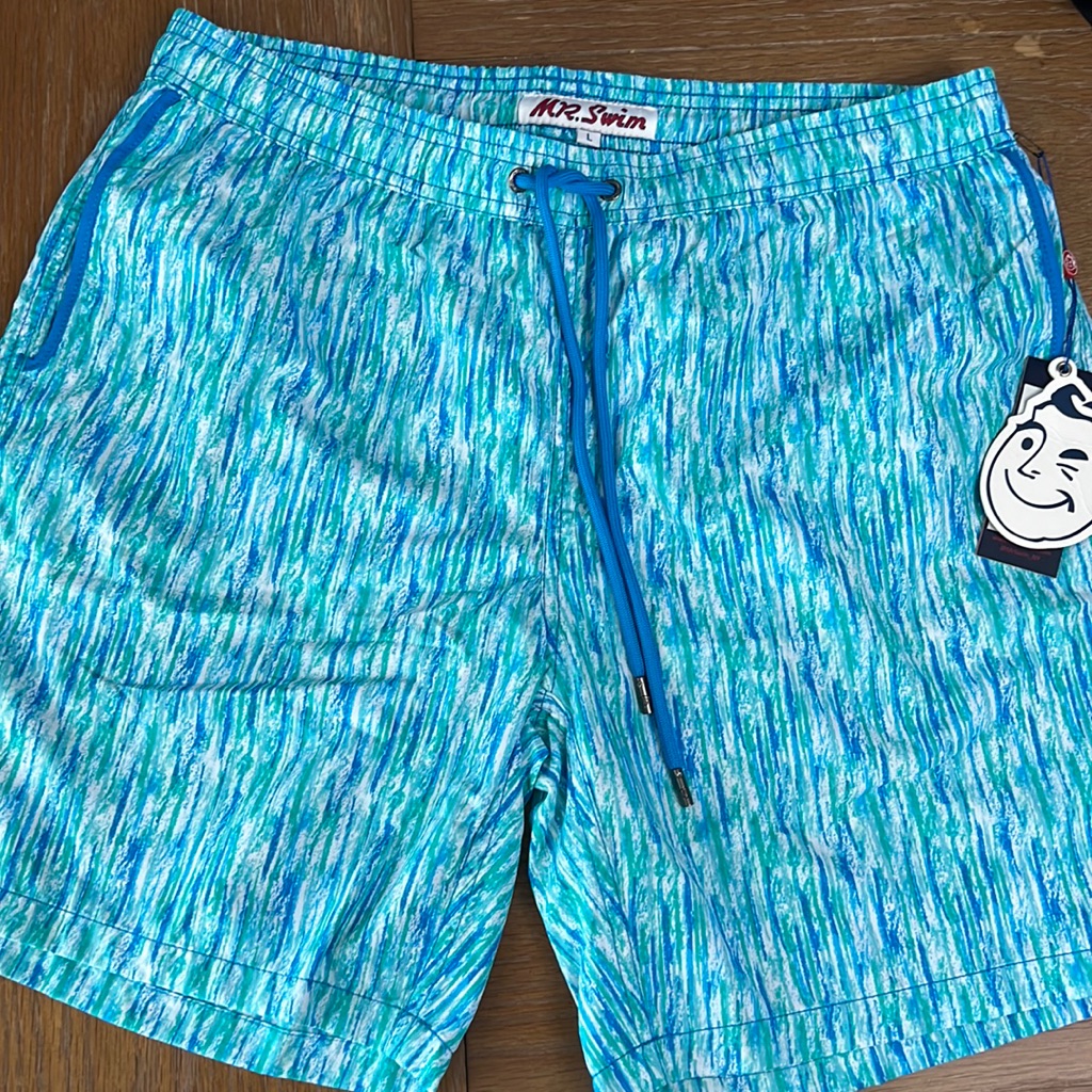 Mr Swim Mens Swim Trunks